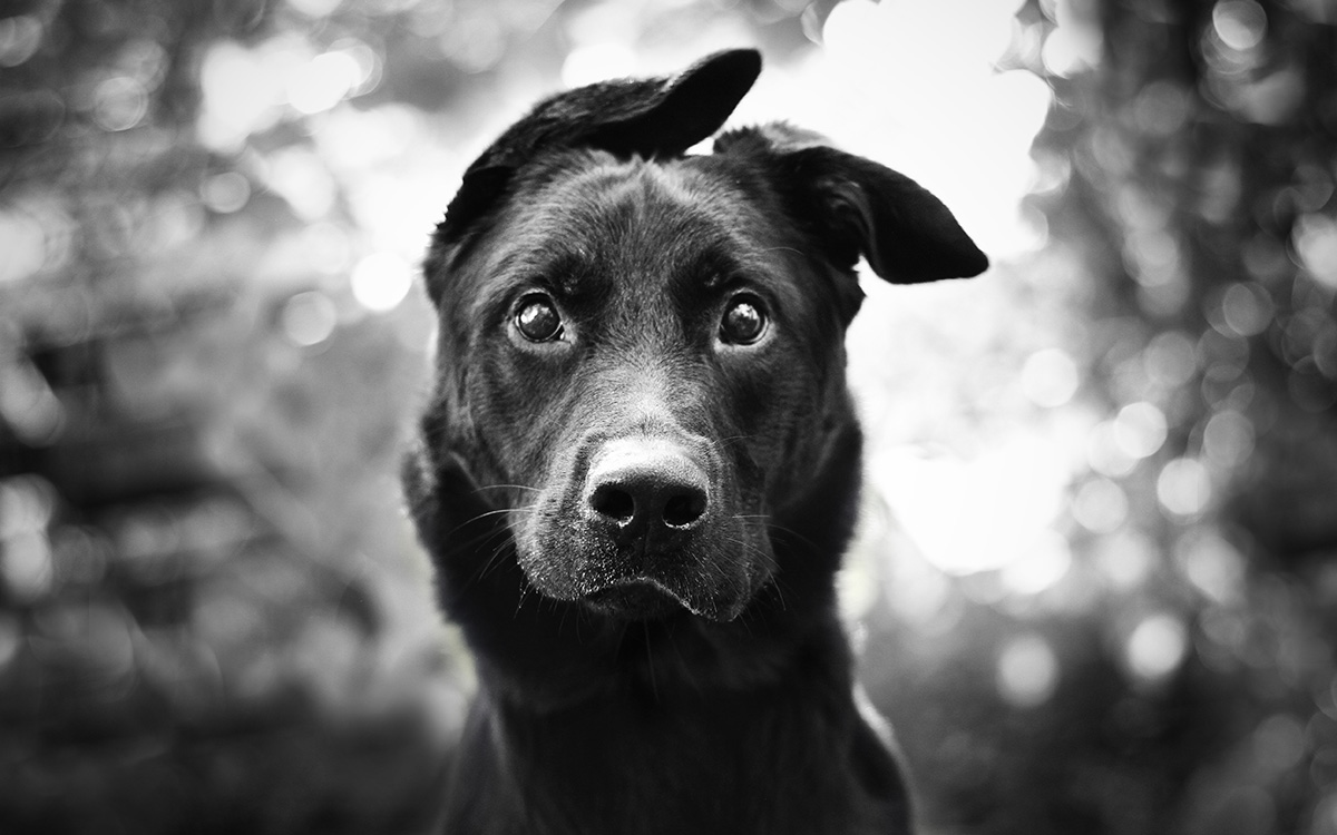 888 Casino Cashback Bonus: Get Up to 10% of Losses Back